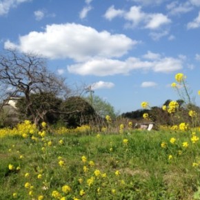 FOREST BARN「直方の家」の地鎮祭でした。