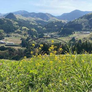 blogに「新しい計画地の現地調査へ伺いました」をUPしました