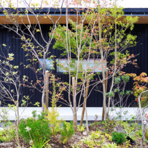 一年点検と新しい出会い｜YUKUHASHI FLAT HOUSE