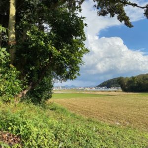 Blog「糸島の広々とした森の中で、新しいプロジェクトがスタートしました。」