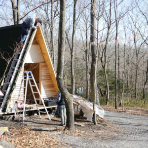 Blog「森林コミュニティの誕生」