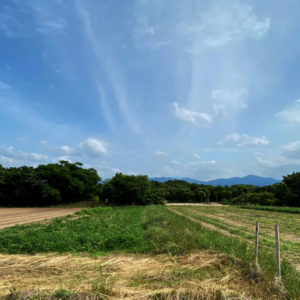 人気の移住地『糸島』に土地をご用意しています。